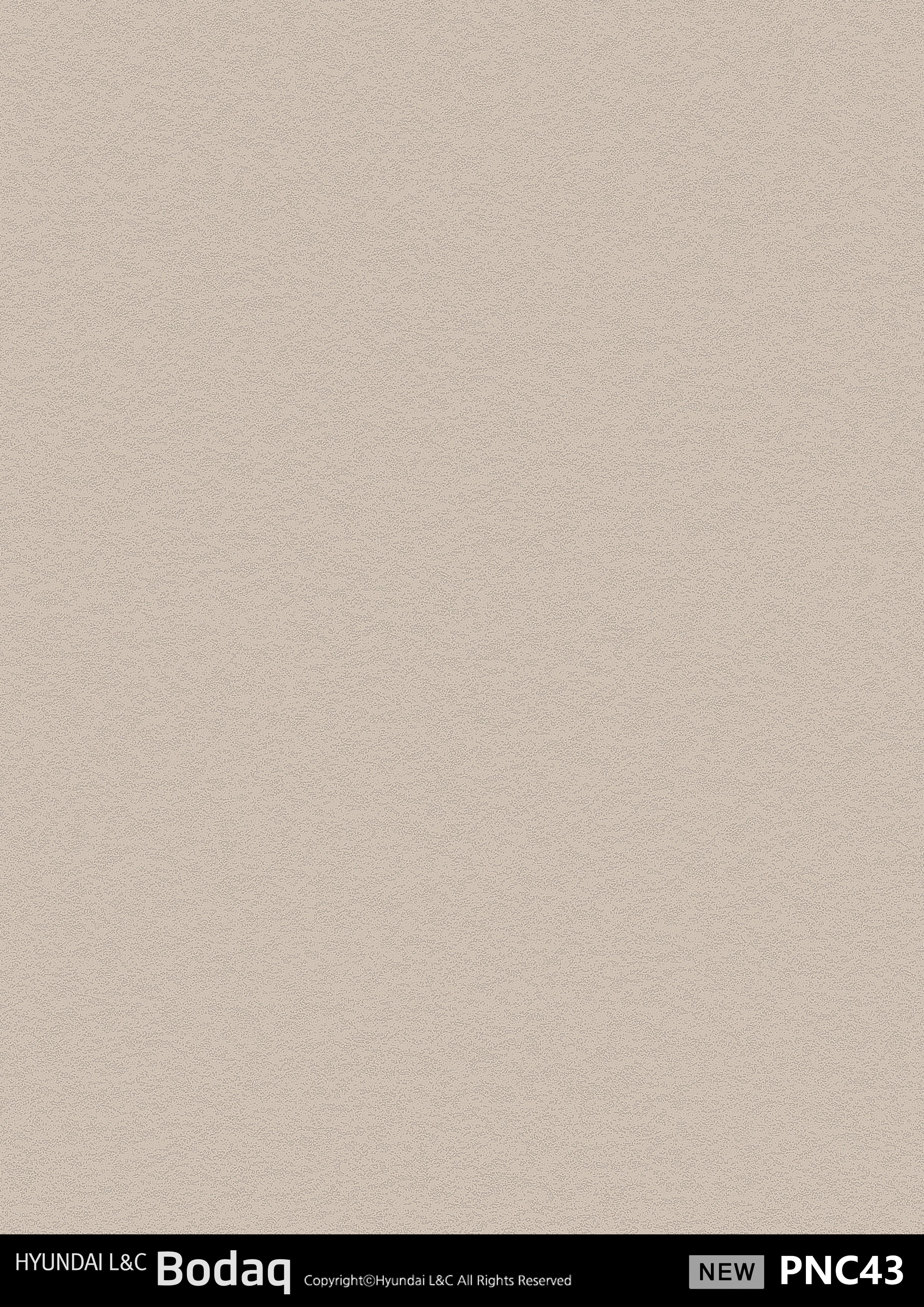 Premium Painted Concrete Series - PNC43 - Vinyl door wrap