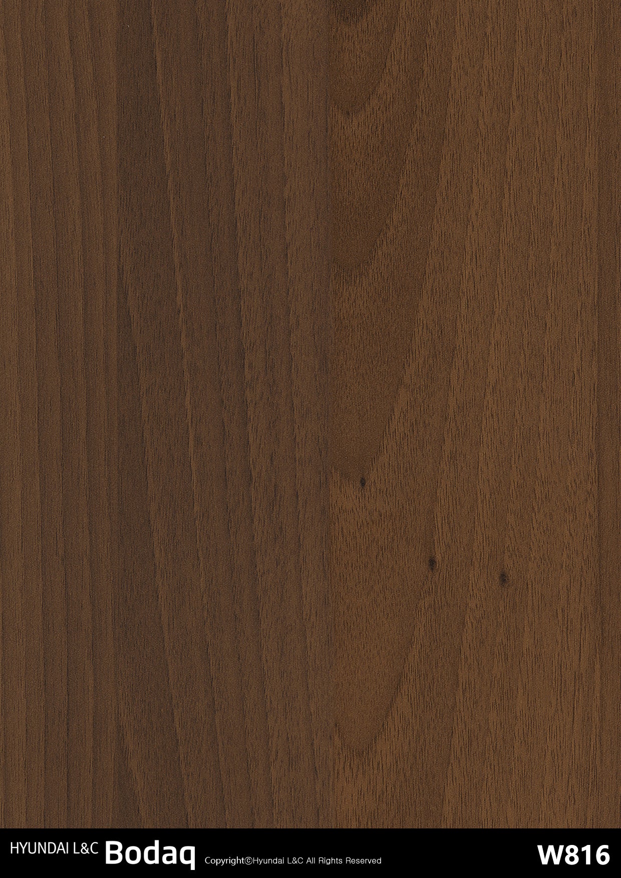 Standard Wood - W816 - Bodaq Interior Film Singapore