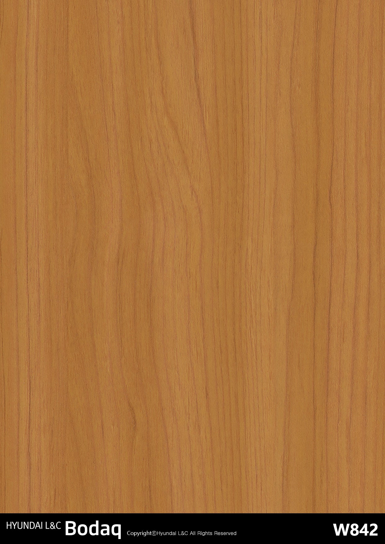 Standard Wood - W842 - Bodaq Interior Film Singapore