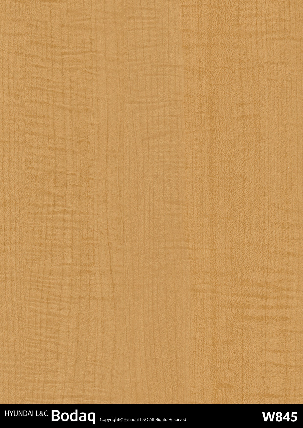 Standard Wood - W845 - Bodaq Interior Film Singapore