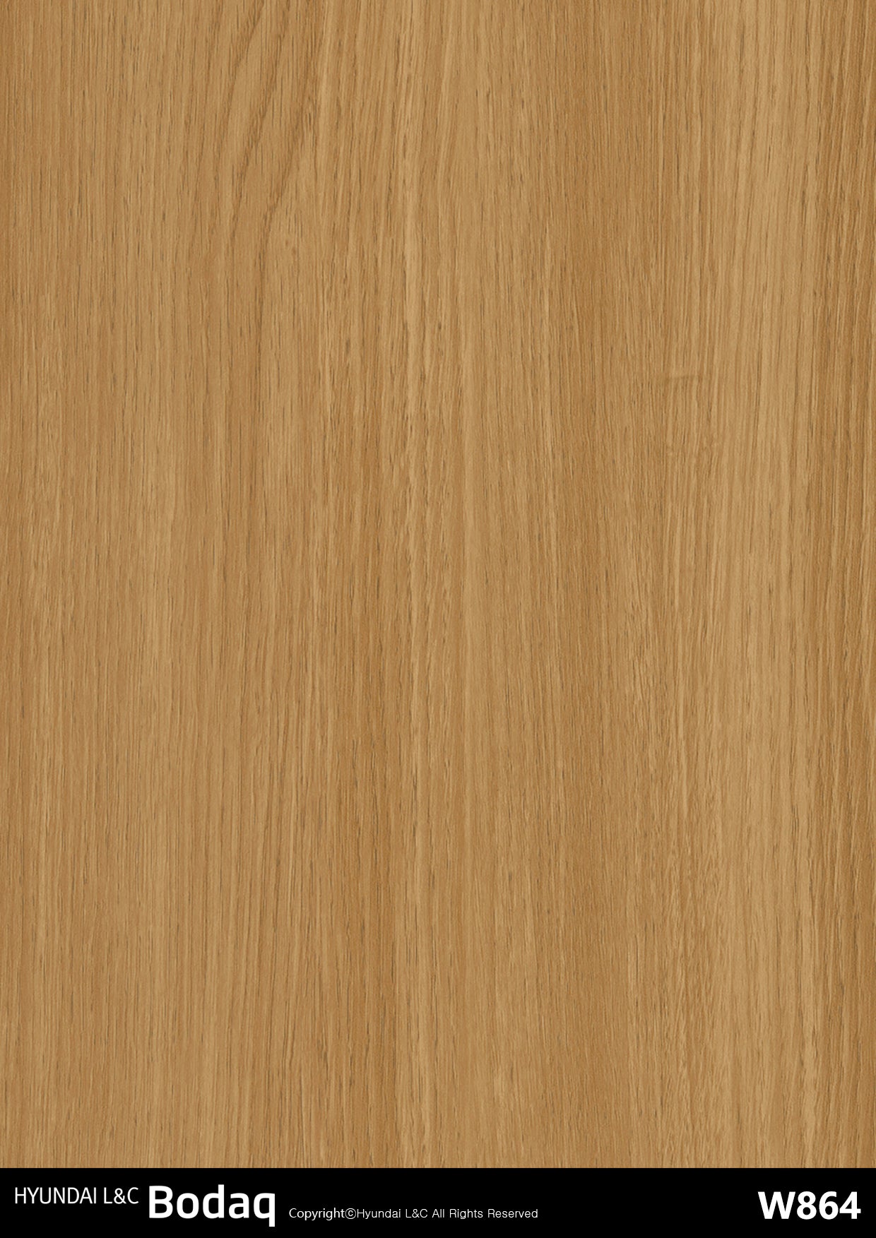 Standard Wood - W864 - Bodaq Interior Film Singapore