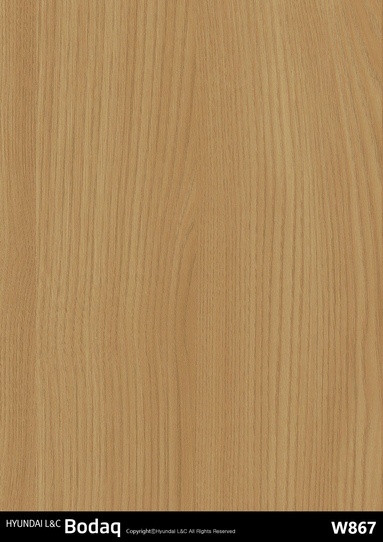 Standard Wood - W867 - Bodaq Interior Film Singapore
