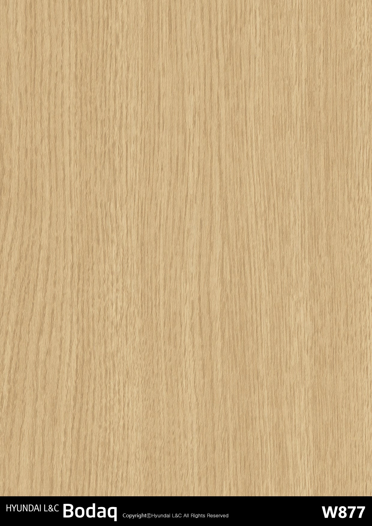 Standard Wood - W877 - Bodaq Interior Film Singapore