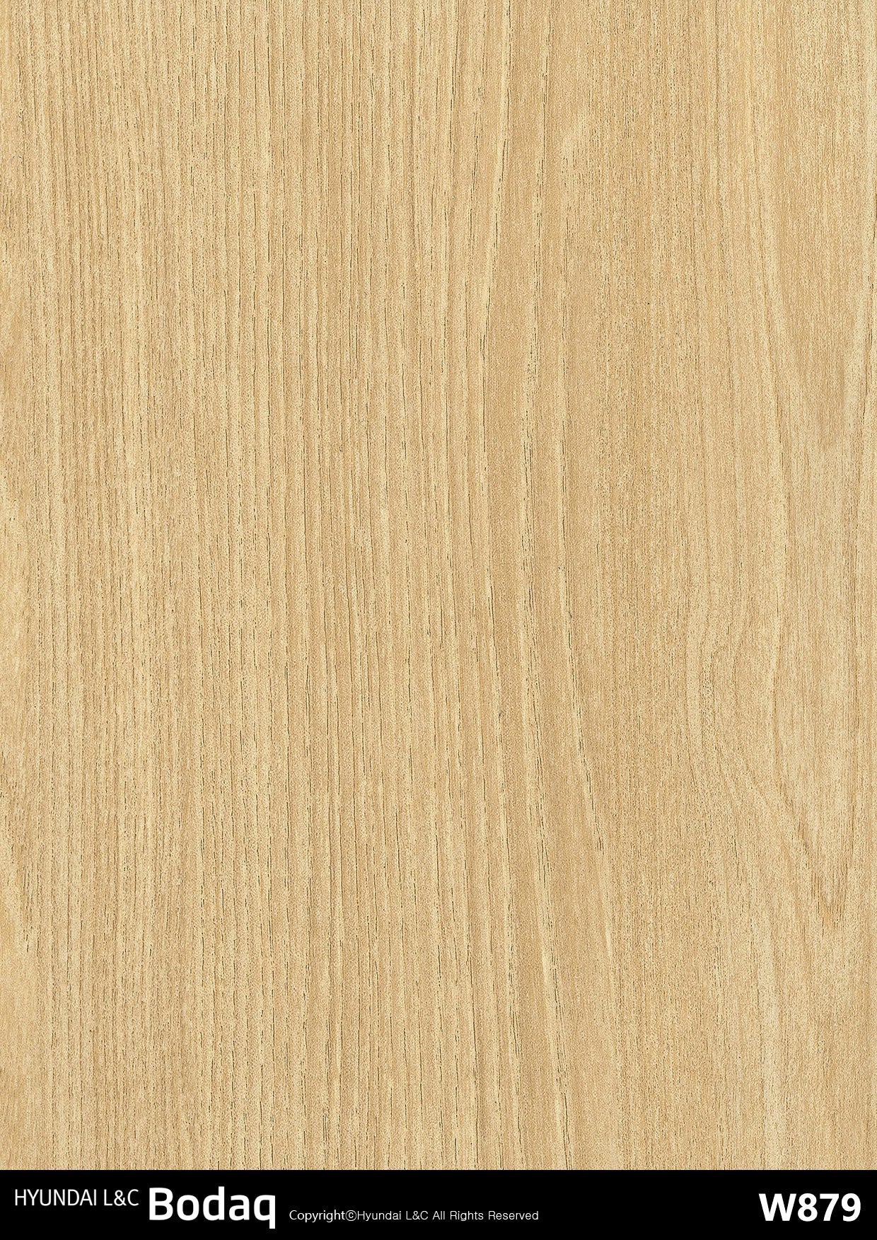 Standard Wood - W879 - Bodaq Interior Film Singapore