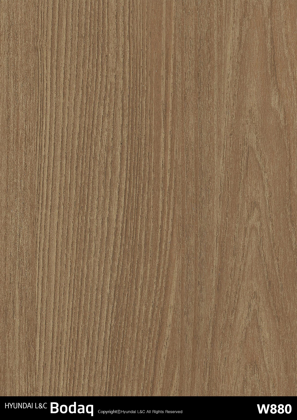 Standard Wood - W880 - Bodaq Interior Film Singapore
