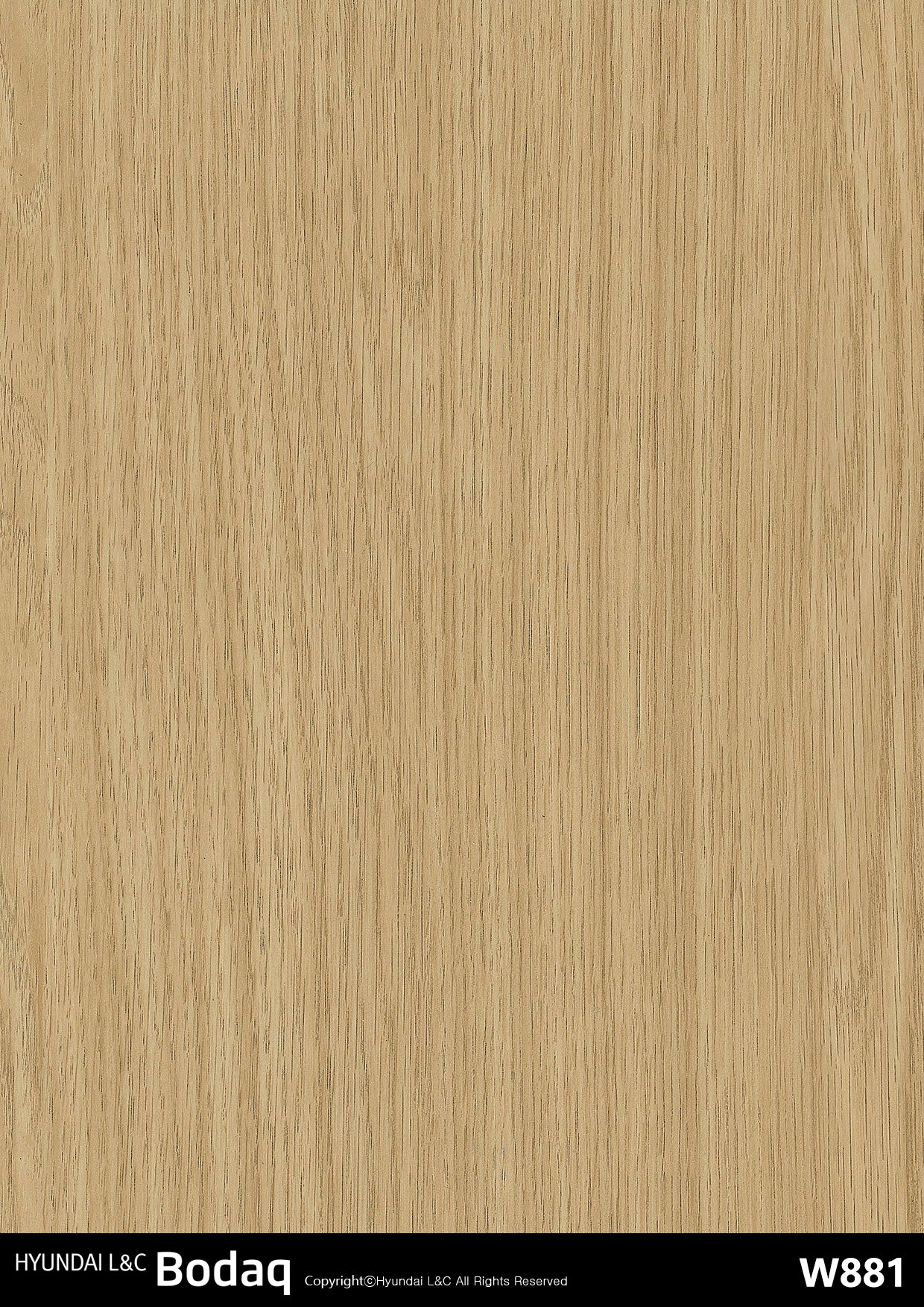 Standard Wood - W881 - Bodaq Interior Film Singapore