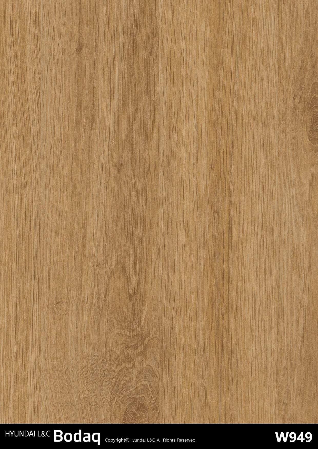 Standard Wood - W949 - Bodaq Interior Film Singapore